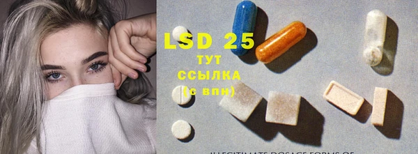 PSILOCYBIN Алзамай