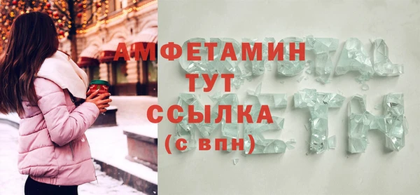 PSILOCYBIN Алзамай