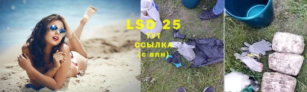 PSILOCYBIN Алзамай