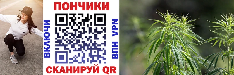 купить наркотики сайты Нелидово Шишки марихуана планчик
